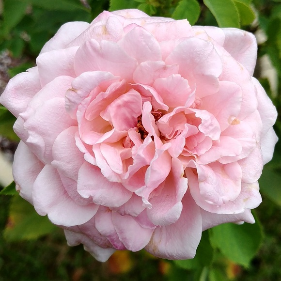 Coach and Michael Kors Purse Charm Key Chain - Picture 8 of 9